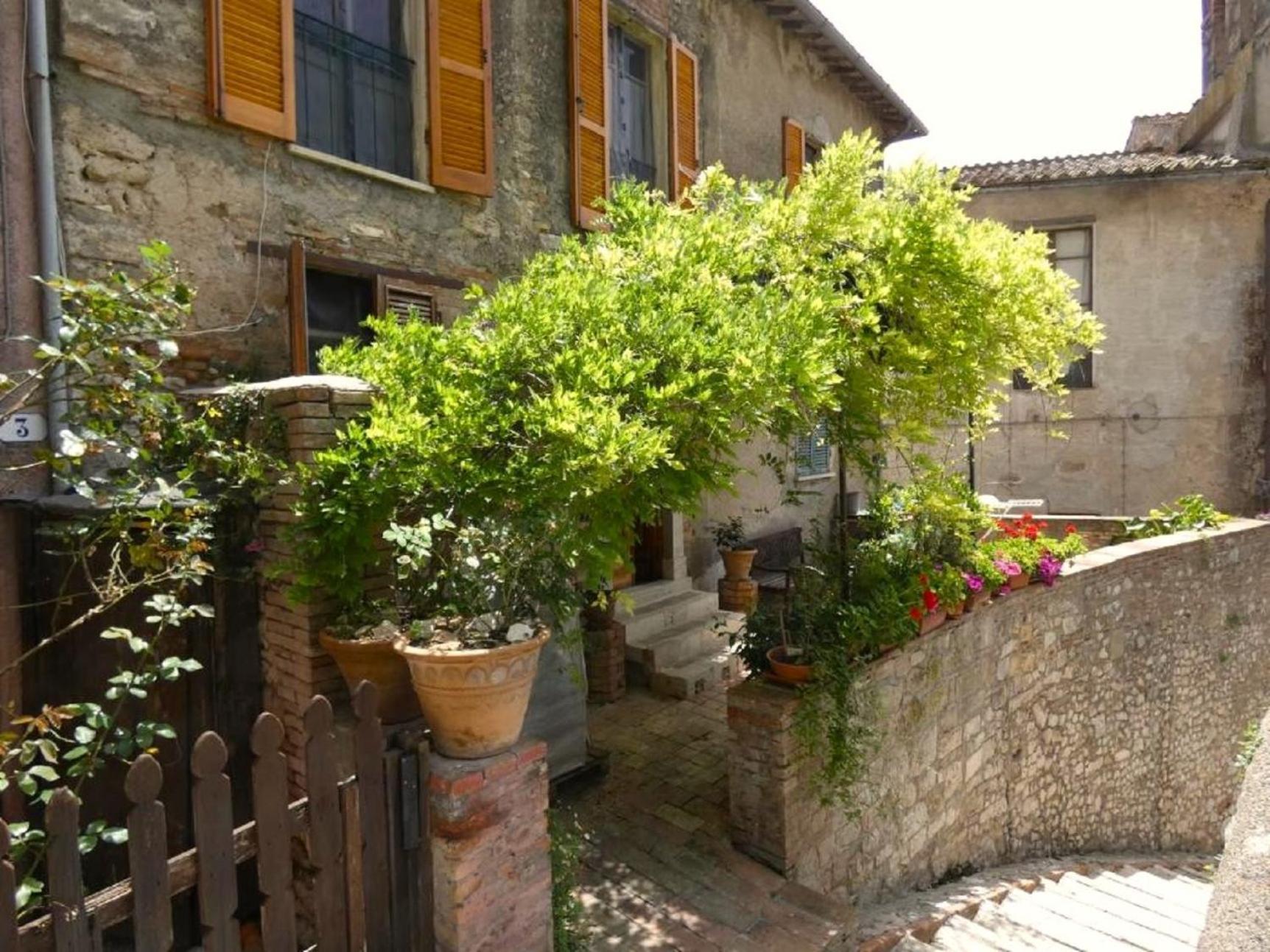 Апартаменти Scappo In Umbria, La Loggia Амелія Екстер'єр фото